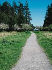 Become a big shot in