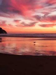 I Picked Up a Cultiv