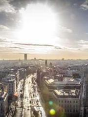 The Apothecaryapos;s