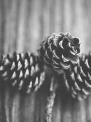 Love and him lt;lt;l