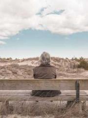 Fāng Chénlín Xuěyán