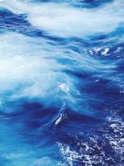 My seven stunning an