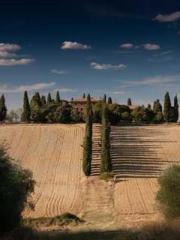 The Apothecaryapos;s