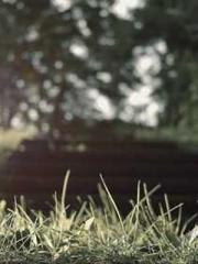 A-SOULapos;s Hoshima