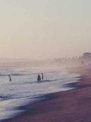 My seven stunning an