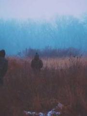 My Sweet Wife: The C