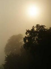 A wife hopes to rema