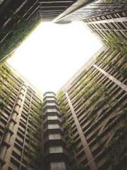 My seven stunning an