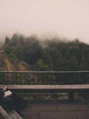 lt;Honor calls for N