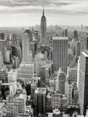 Saintly Gate Venerab