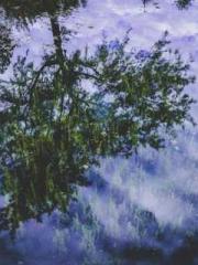 Naming of night