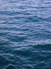 lt;Dragon King Legen